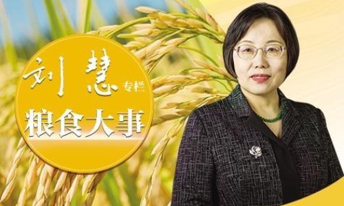 痔疮的另一种说法-的痔疮的症状有哪些症状图片网 - 网站提供痔疮的症状图片大全小常识、痔疮的症状图片大全